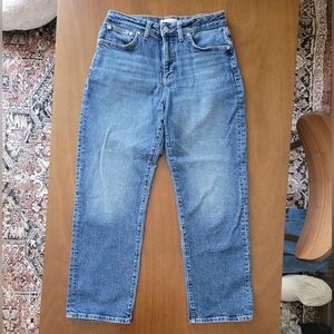 Madewell Curvy 90s Straight Jean in 28 Petite Rondell Wash